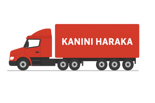 Kanini Haraka Delivery Truck